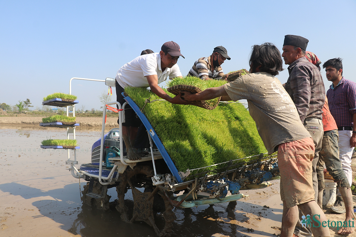 तस्बिरः राजेश